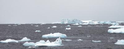 Iceberg in Gerlach Strait