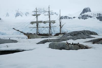 Barq Europa at rest