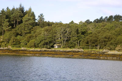 g3/01/638701/3/57828028.DSC_3917.jpg