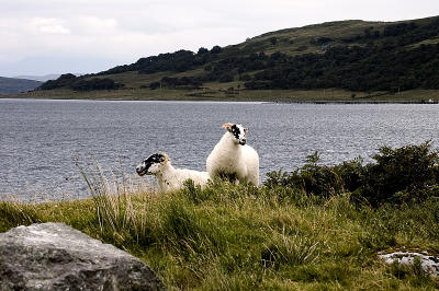 g3/01/638701/3/57828102.DSC_4271.jpg
