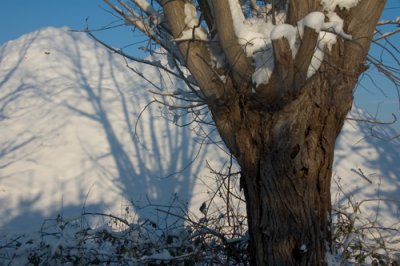 DSC_8450em.jpg