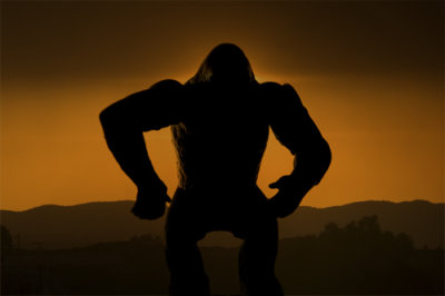 silhouetten
