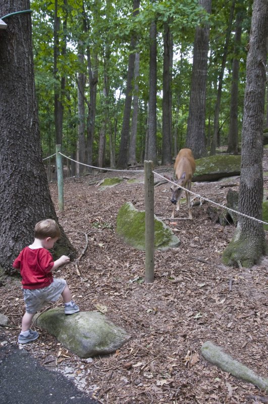 Eli At Yellow River Game Ranch 1
