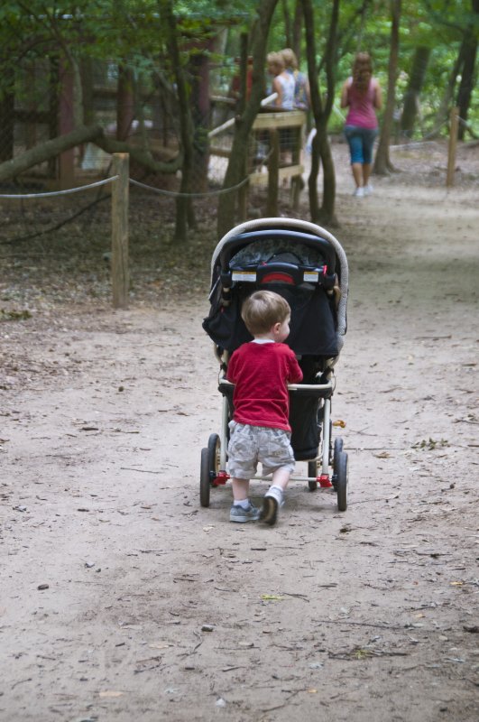 Eli At Yellow River Game Ranch 10