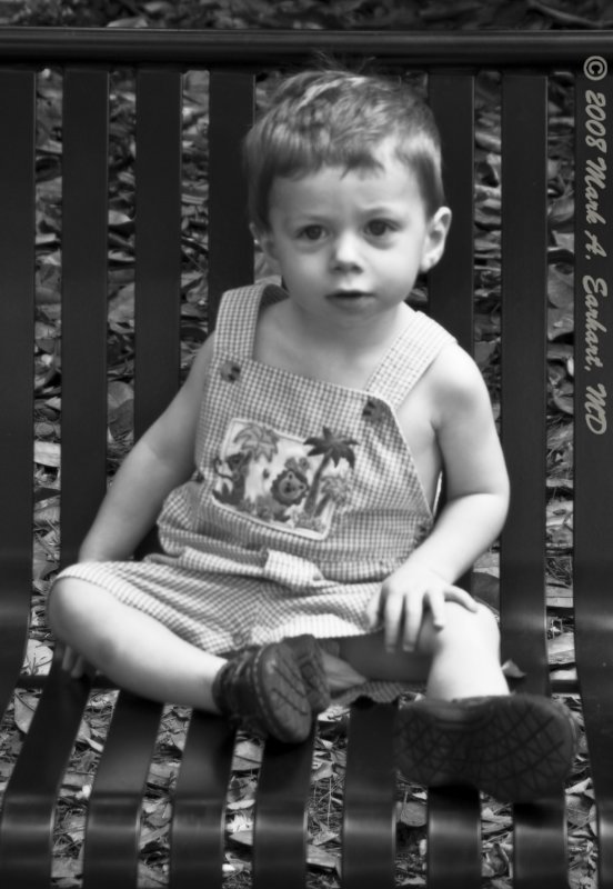 Black and White on the Campus of Red and Black
