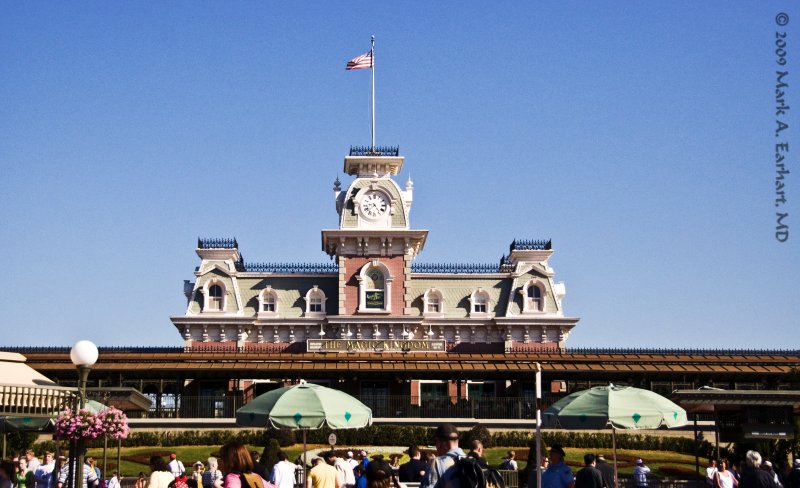 Disney World 18