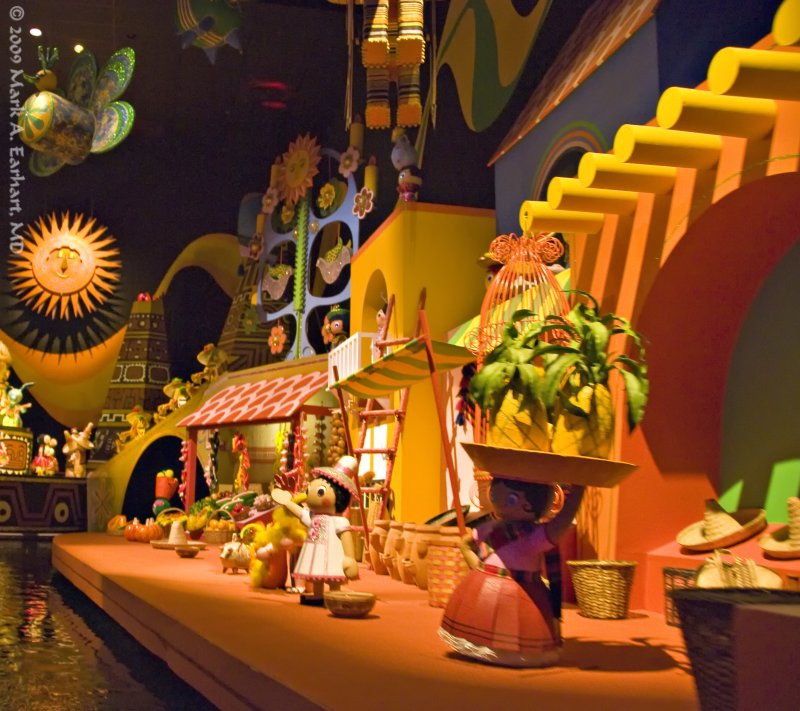 Disney World 40