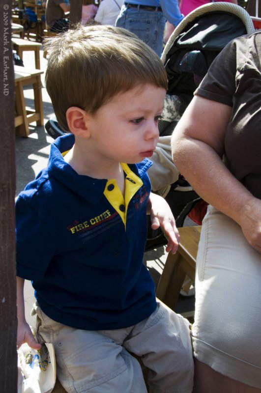 Disney World 19