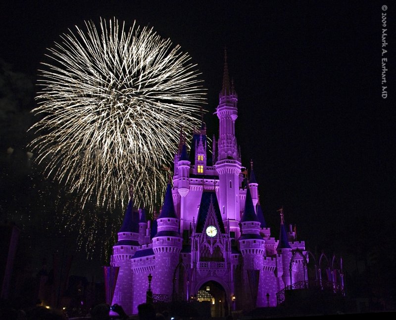 Disney World 115