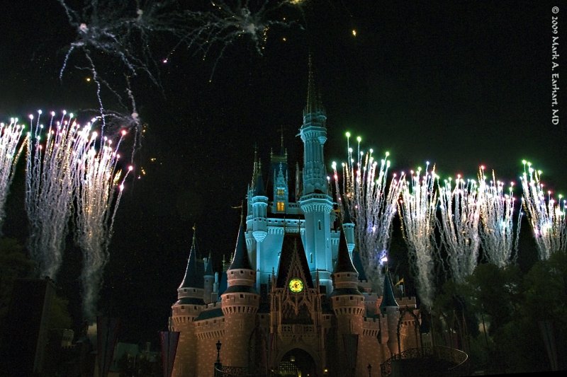 Disney World 116