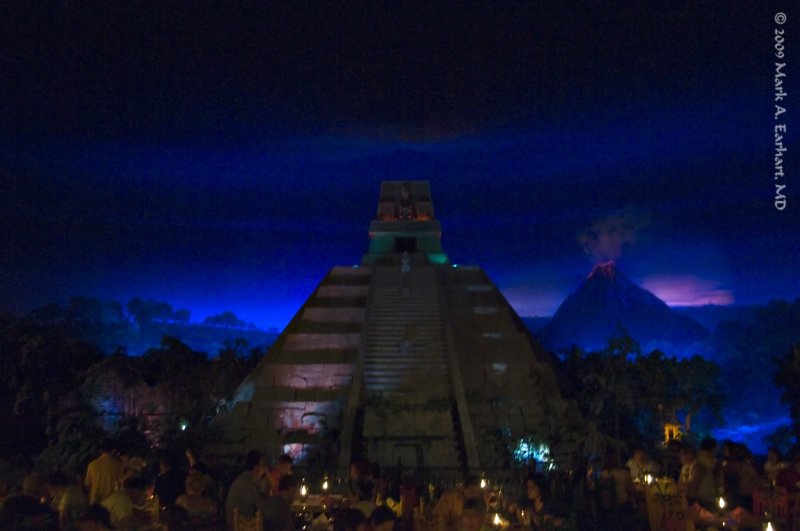 Disney World 139