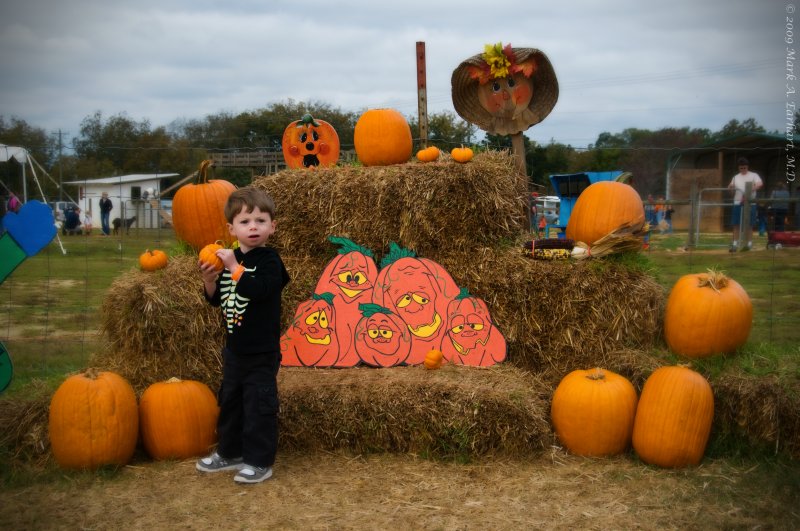 Eli, Pumpkin Picker