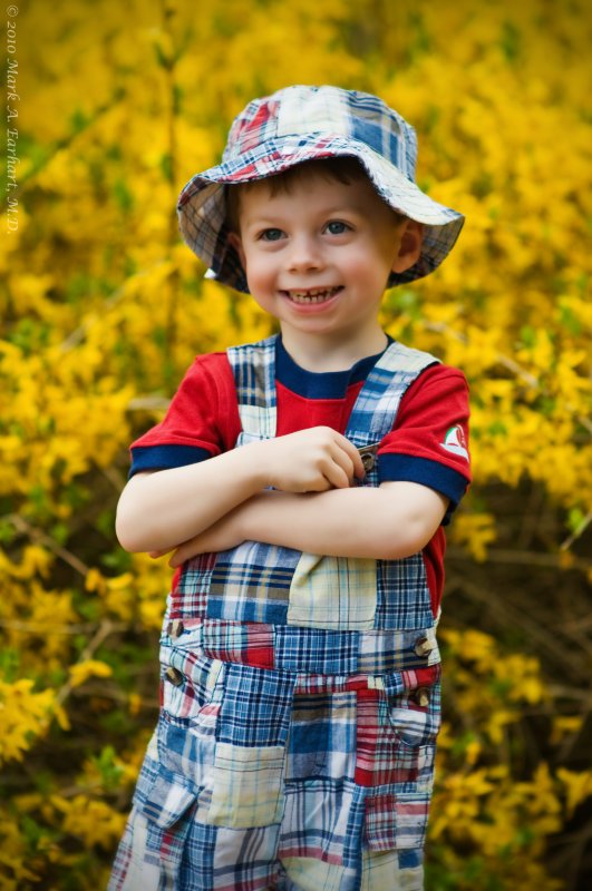 Forsythia Fun 2
