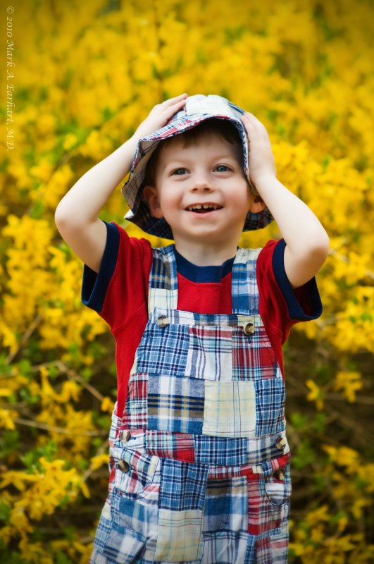 Forsythia Fun 10