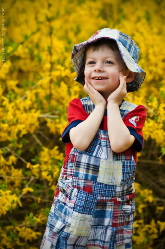 Forsythia Fun 11