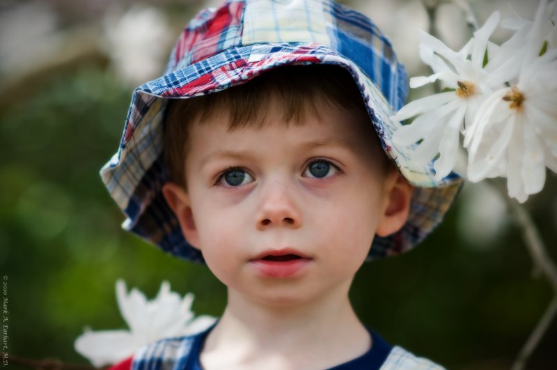 Posing In Plaid 1