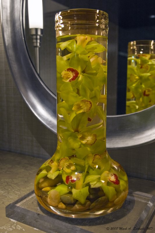 Pickled Orchids