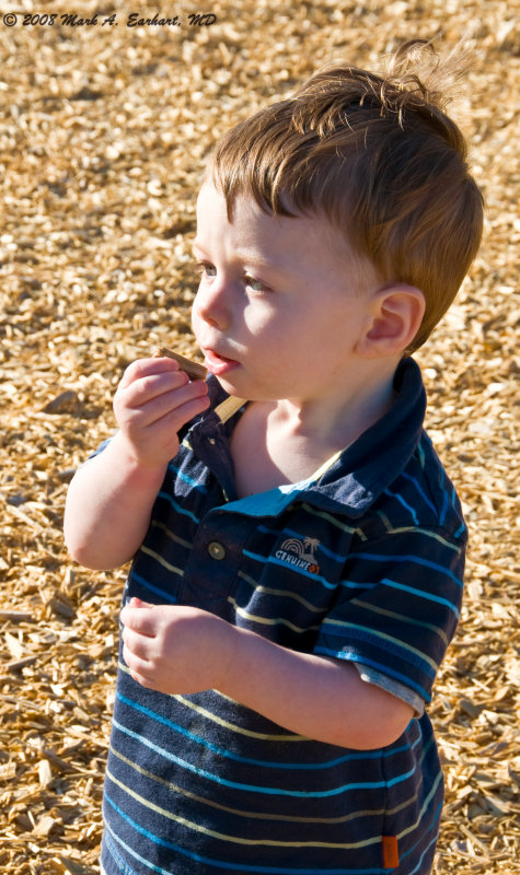 Dont Eat That Eli!