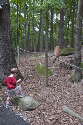 Eli At Yellow River Game Ranch 1