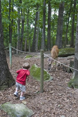 Eli At Yellow River Game Ranch 2