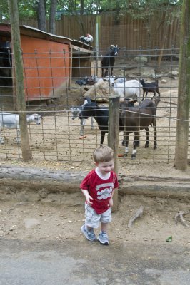 Eli At Yellow River Game Ranch 5