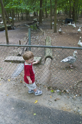 Eli At Yellow River Game Ranch 9