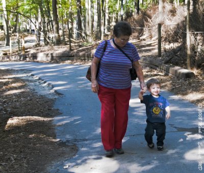 Walkin' With Grandma