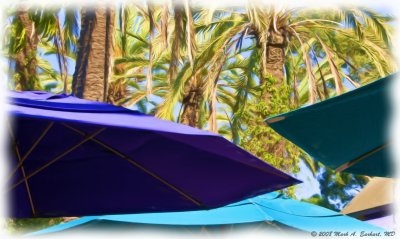 Return Of The California Umbrellas