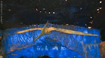Disney World 10