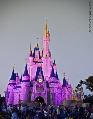 Disney World 87