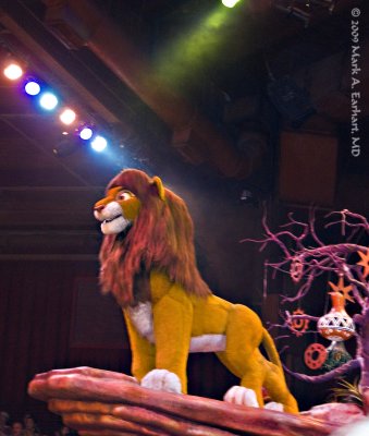 Disney World 200