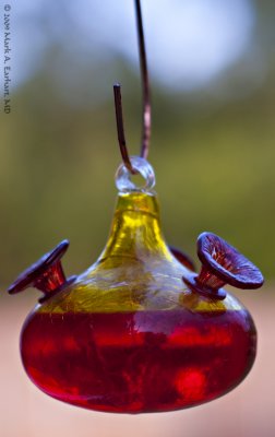 Hanging Glass