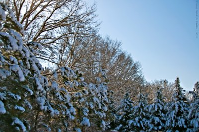 February Snow  (13 of 27) copy.jpg