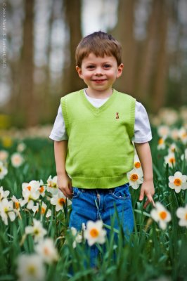 Green Sweater Vest 10