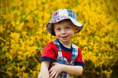 Forsythia Fun 3