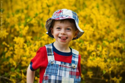 Forsythia Fun 7