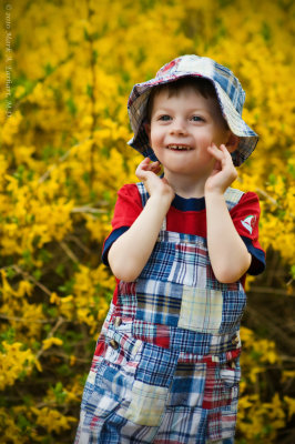 Forsythia Fun 13