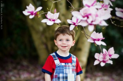 Magnolia Magic 10