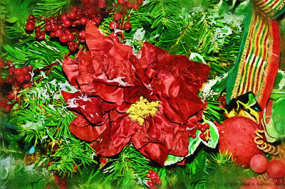Poinsettia In A Tree
