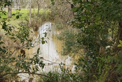 Wollombi022.jpg