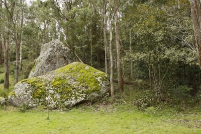 Wollombi025.jpg