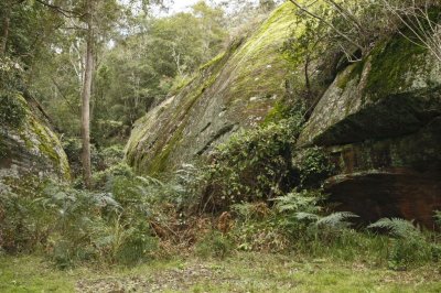 Wollombi027.jpg
