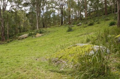 Wollombi030.jpg