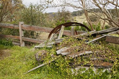 Wollombi013.jpg