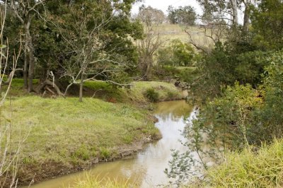 Wollombi019.jpg