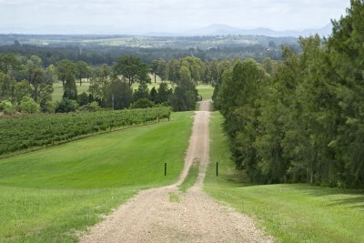 Vineyards006.jpg