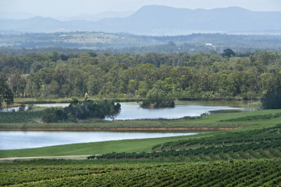 Vineyards007.jpg