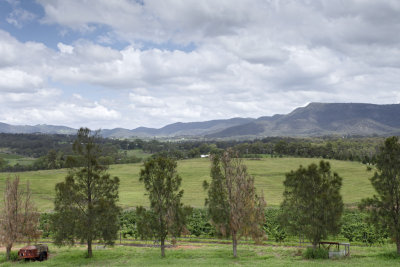 Vineyards012.jpg