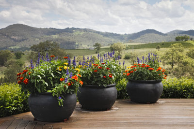 Vineyards017.jpg