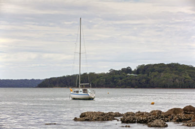 Tanilba014.jpg